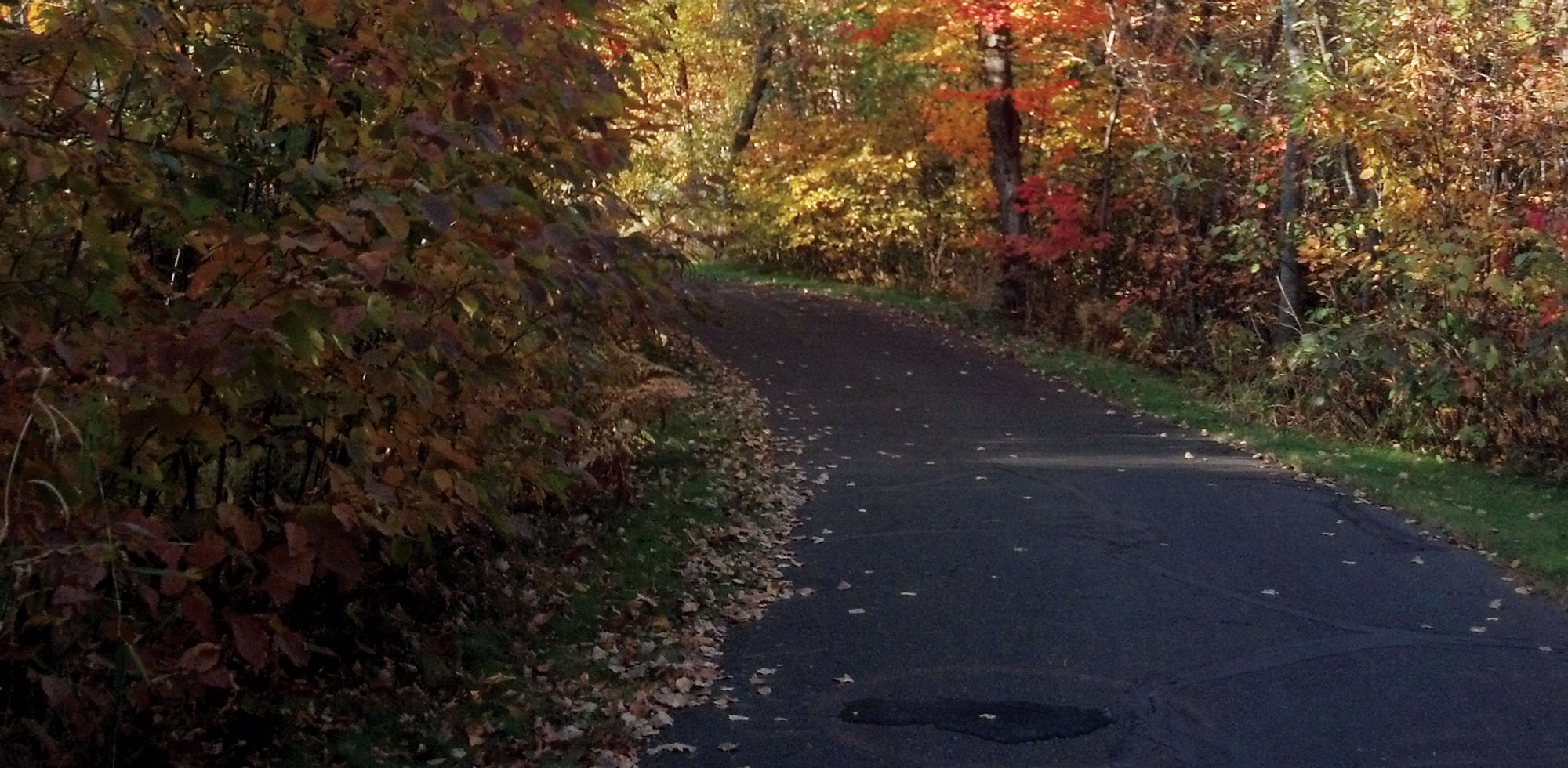 Running Trail