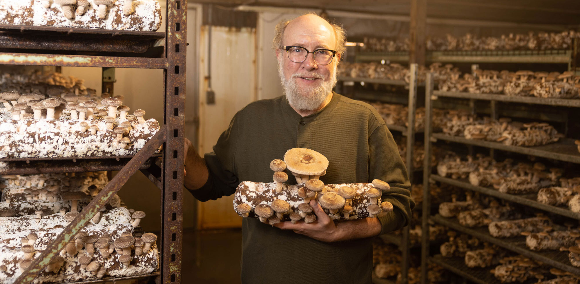 Kevin Doyle, Forest Mushrooms